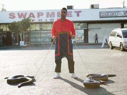 Shabazz Palaces pictures