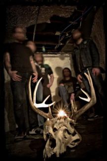 Coffinworm pictures