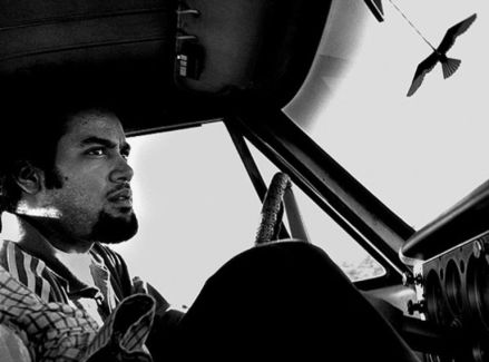 Ben Harper pictures