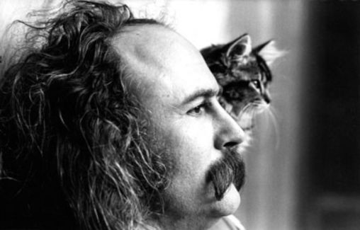 David Crosby pictures