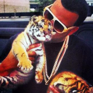French Montana pictures