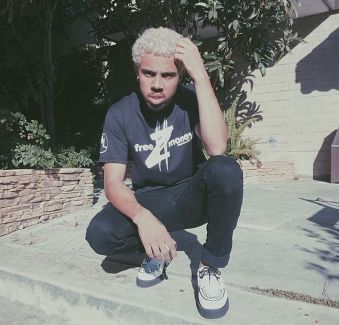 Vic Mensa pictures