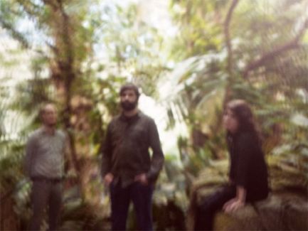 Timber Timbre pictures
