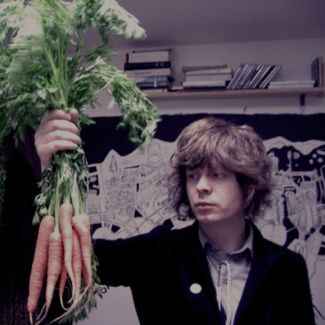 Fionn Regan pictures