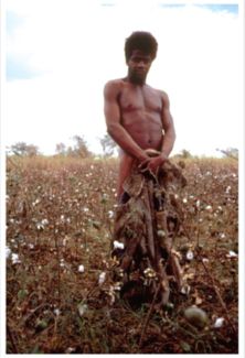 Al Green pictures