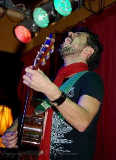 Bushwalla pictures
