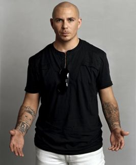 Pitbull pictures