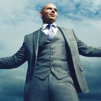 Pitbull pictures