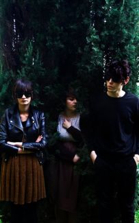 Be Forest pictures
