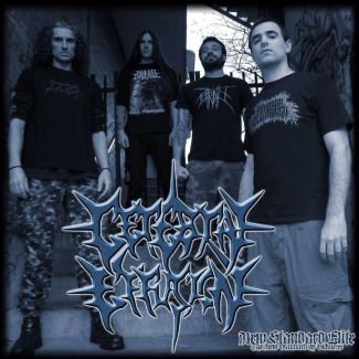 Cerebral Effusion pictures