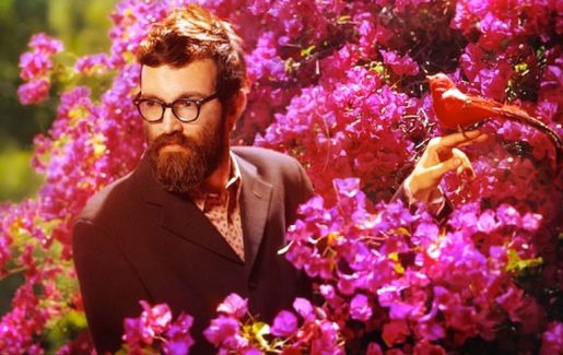 Eels pictures