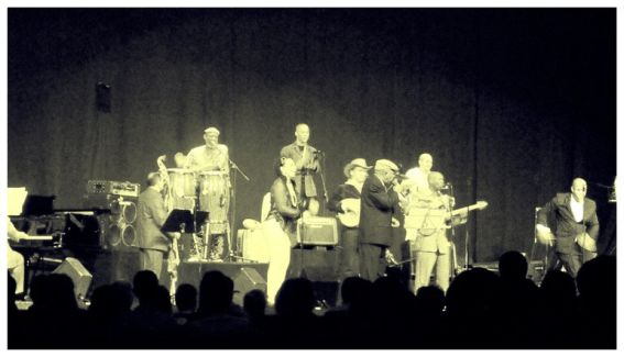 Buena Vista Social Club pictures