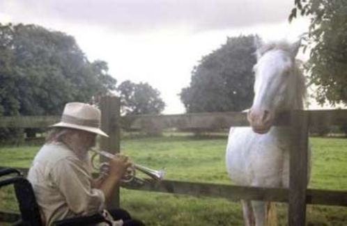 Robert Wyatt pictures