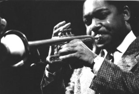 Wynton Marsalis pictures