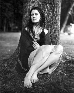 Paula Cole pictures