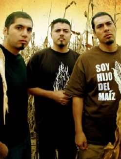 Kinto Sol pictures
