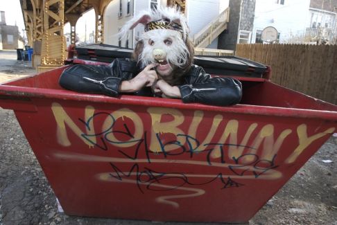 Nobunny pictures