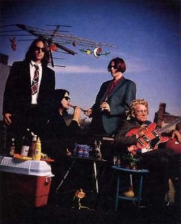 The Posies pictures