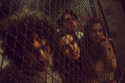 Caged Animals pictures