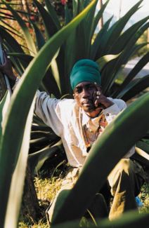 Sizzla pictures