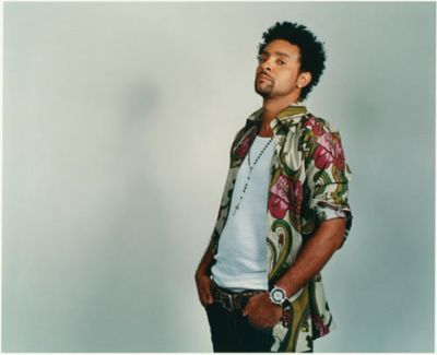 Shaggy pictures