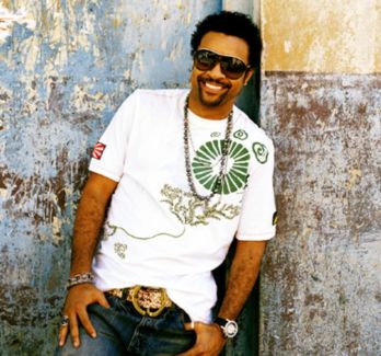 Shaggy pictures