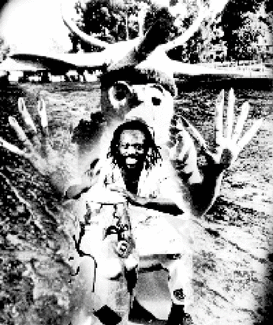 African Head Charge pictures