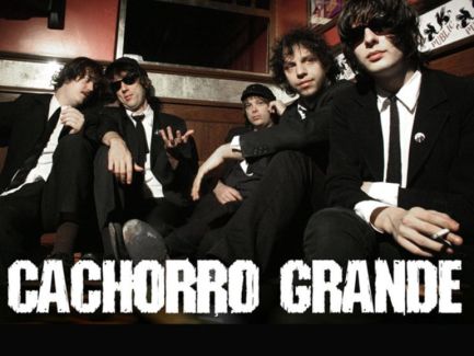 Cachorro Grande pictures