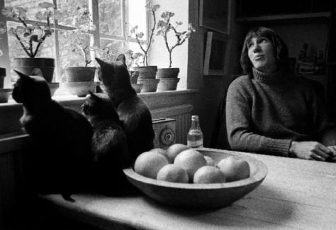 Roger Waters pictures