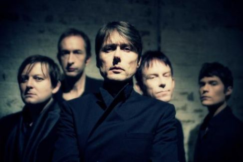 Suede pictures