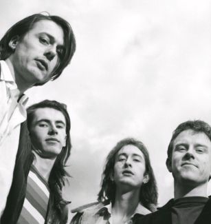 Suede pictures