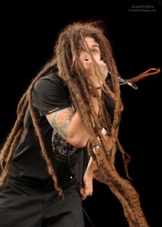 Shadows Fall pictures