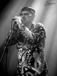 Paul Carrack pictures