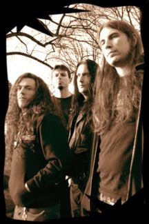 Arsis pictures