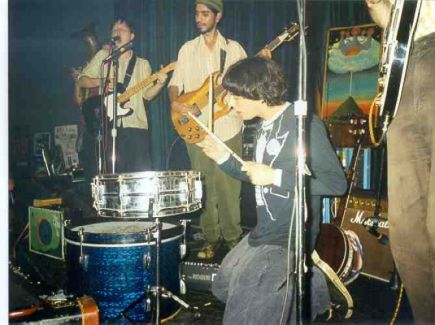 The Olivia Tremor Control pictures