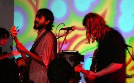 The Olivia Tremor Control pictures