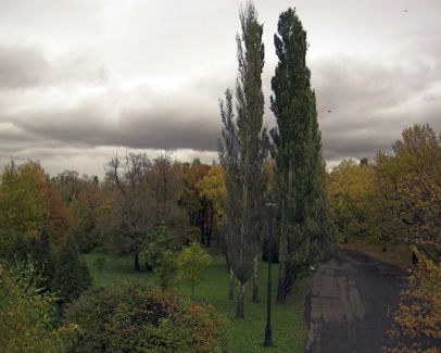 The Morningside pictures