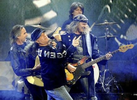 Krokus pictures