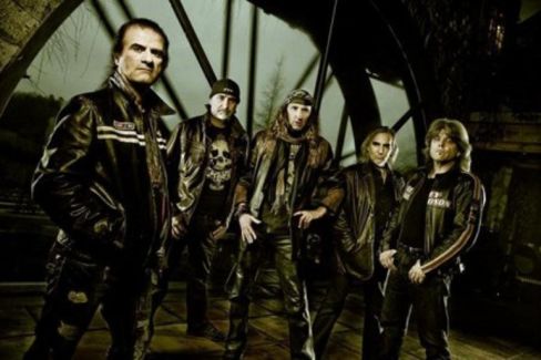 Krokus pictures