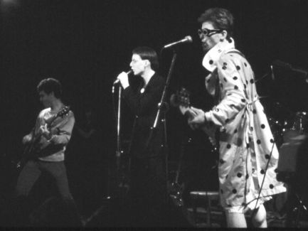 The Dickies pictures