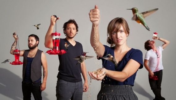 Gungor pictures