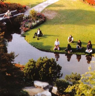 The Tear Garden pictures