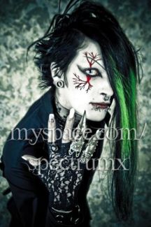 Spectrum-X pictures