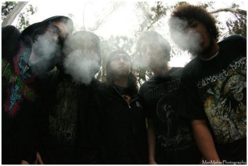 Burning the Masses pictures