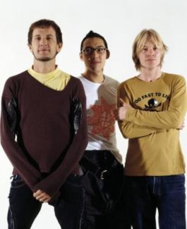 Regurgitator pictures