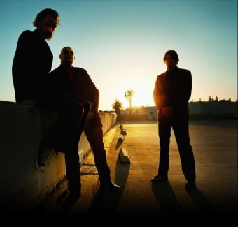 Triggerfinger pictures