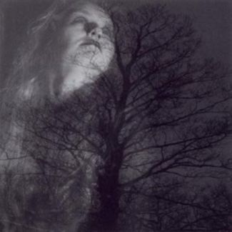 Autumn Tears pictures