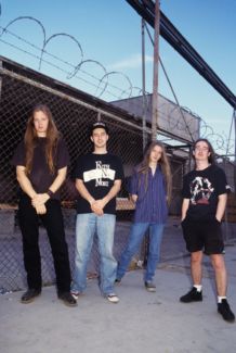Carcass pictures