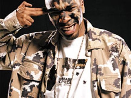 Busta Flex pictures