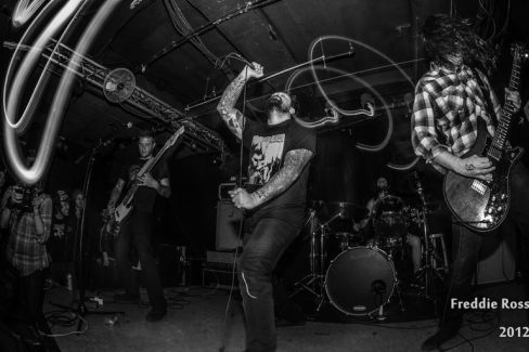 All Pigs Must Die pictures